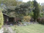 Back Garden