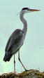 Heron of Alexandria